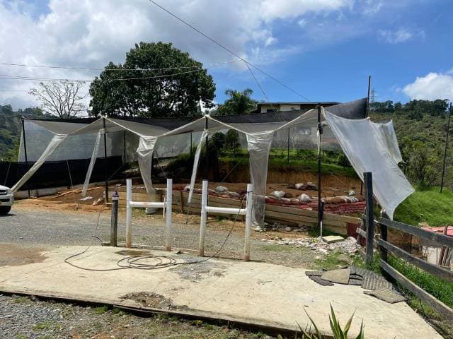 Venta de Pesebrera en Envigado, sector El Salado — foto 3