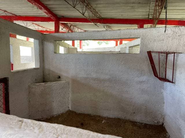 Venta de Pesebrera en Envigado, sector El Salado — foto 6