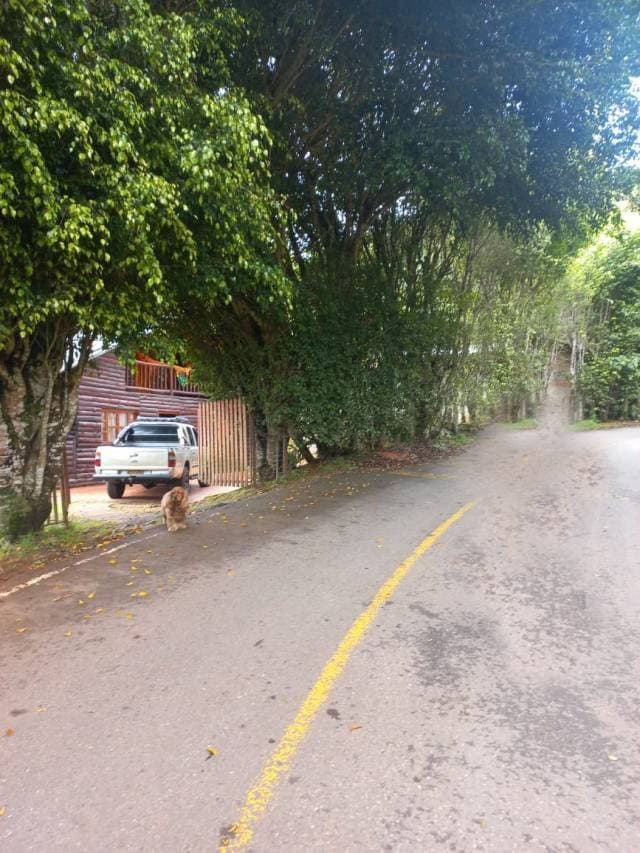 Chalet en Cali, corregimiento Felidia — foto 1