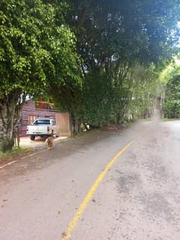 Chalet en Cali, corregimiento Felidia
