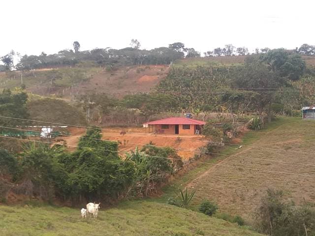 Parcela de 1800 mts2 en Aratoca, Santander — foto 1