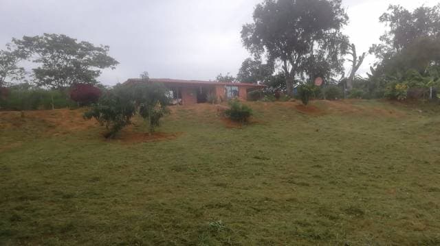 Parcela de 1800 mts2 en Aratoca, Santander — foto 2