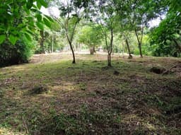 LOTE EN VENTA SECTOR DE MINCA, CERCA A POZO AZUL