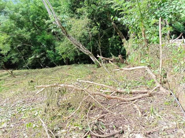 LOTE EN VENTA SECTOR DE MINCA, CERCA A POZO AZUL — foto 3