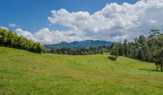 Se vende lote en parcelación exclusiva — foto 2