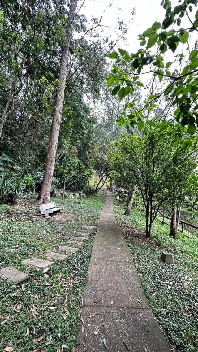 venta de Aprtamento — foto 3