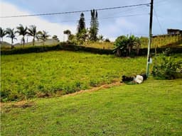 Finca - lote en venta en El Carmen de Viboral