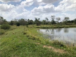 FINCA EN VENTA A 10 MINUTOS DE MONTERIA