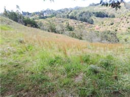 ENCANTADOR LOTE EN VENTA PARA PROYECTO DE SUBDIVISIÓN SAN VICENTE