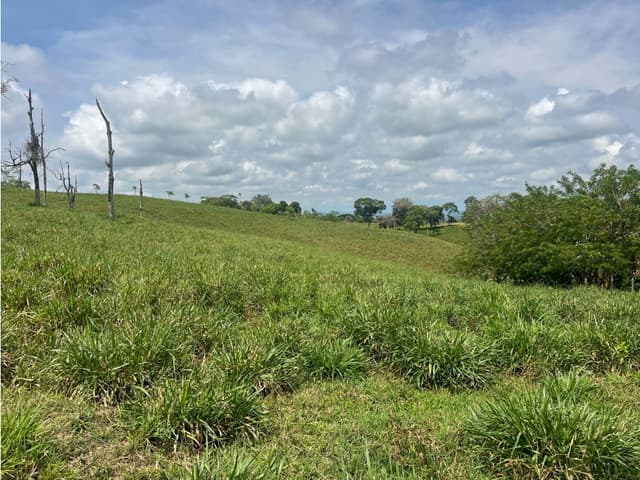 LOTE EN VENTA EN ALTAGRACIA PEREIRA