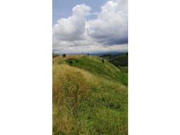SE VENDE LOTE VIA FILANDIA QUINDIO