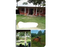 VENDO FINCA EN SAN CARLOS CORDOBA