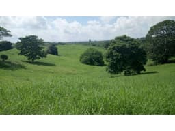 Finca en venta en Montería vía Arboletes