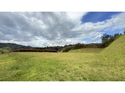 Lote Alto Las Palmas